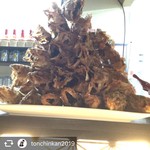 普通の居酒屋 頓珍漢 分家 - 料理写真:かさごの丸揚げ