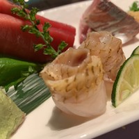 鮨 やまけん 銀座店 - 