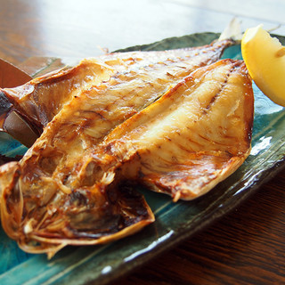 博多なぎの木_2