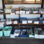 山麓亭 - 店先で色んな野菜が売られてます