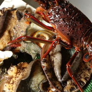 新鮮な魚介や美味しい状態を見極めた肉など、厳選食材を使用