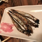 仁海 - ししゃも
