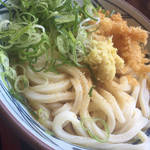 Marugame Seimen - 