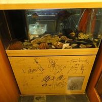 日本料理 空海 別亭 - 