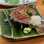 幸魚 - ウチワエビ刺し