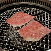 日本焼肉はせ川 表参道店 - 