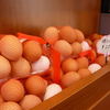 たまご屋のＳｗｅｅｔｓ工房　RANKO - 料理写真:朝取りぷりぷりタマゴももちろん置いてます。