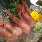 まるごと北海道 花の舞 - 甘海老刺身