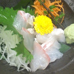 まるごと北海道 花の舞 - 鰊の刺身