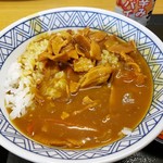 Dondon An - カレーごはん　470円