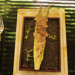 ランベリー - 栃木県ヤングコーン　サマートリュフ　新玉葱