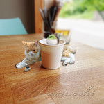 ヴァニーユ - 店内