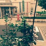 いなだ珈琲舎 - 盛岡劇場。店内から。