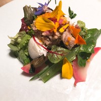 ラッフィナート - 野菜のサラダ仕立て