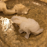 うを徳 - あおりいか（塩）