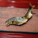 銀座 しのはら - 郡上八幡 鮎