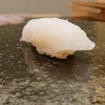 鮨 なんば - アオリイカ