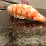 鮨 なんば - 車海老