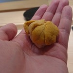 鮨 なんば - 赤雲丹