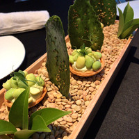 プレヴナンス - 