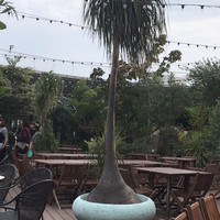 TOOTH TOOTH GARDEN RESTAURANT - 