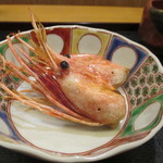 赤坂 詠月 - 島牧の牡丹エビ