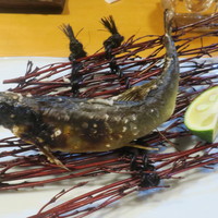 浅草じゅうろく - 