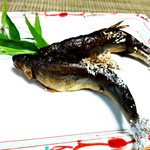 かたつむり - 鮎