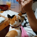 フライドチキン - 5個1000円（1個サービス）