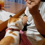 フライドチキン - 5個1000円（1個サービス）