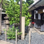 うどん本陣 山田家 - お庭を眺めながら