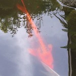 うどん本陣 山田家 - 