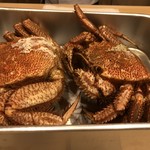 はらまさ - 毛蟹ちゃん^_^
      蒸す時は、味噌がこぼれないよう お腹を上になさるそうです(^^)