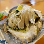 創味魚菜　岩手川 - 岩牡蠣 2019年6月