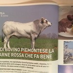 L'Inedito Vigin Mudest - これが、ピエモンテ牛