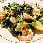 イタリア食堂 TRIPPA - 