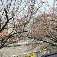 Restaurant Re: - 