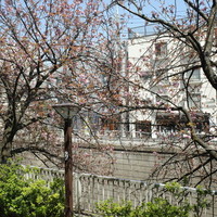 Restaurant Re: - 