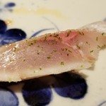 馳走 啐啄一十  - ⑪真鯵(静岡県駿河湾産、サスエ前田魚店・2日熟成)
      産卵期は春～夏、旬は秋～冬。
      旬でなくとも脂のりもバッチリで、鯵の香りもとても良いですね。