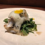 アカ - こんなトリ貝は初めて♬