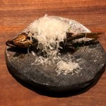 アカ - 稚鮎のマンチェゴチーズ掛け