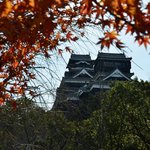 Season Dining LOTUS GARDEN - ロータスガーデンの中庭からは熊本城の天守閣を眺めることができます。