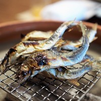 松川 - 美山鮎塩焼き　蓼酢