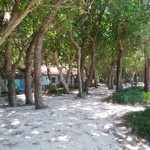 そば家　なかもと - 底地ビーチ（お店から車で5分）