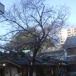 懐石料理 割烹 千代田 - 