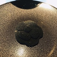 ベージュ アラン・デュカス 東京 - 