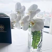 ベッラ・ヴィスタ - 