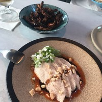 CINA New Modern Chinese - 