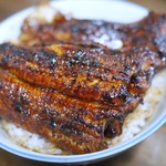 田代 - 上は鰻1匹半