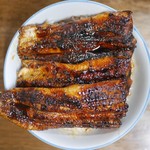 田代 - 折角だからケチらず上を食べたい